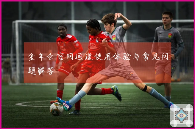 金年会官网通道使用体验与常见问题解答